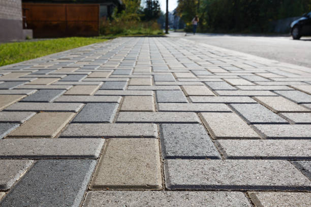 Best Local Driveway Pavers  in Romney, WV